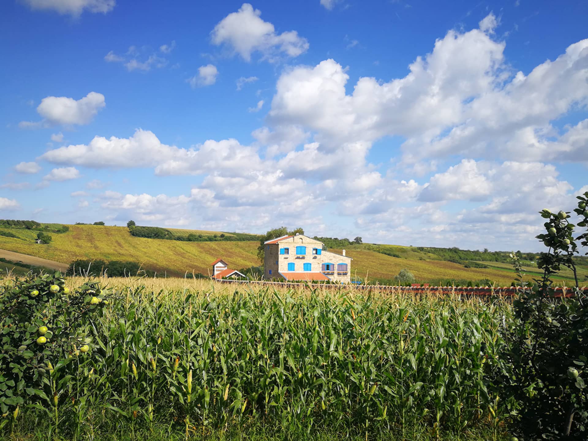 Pannonian Fairy Tale: Novi Sad